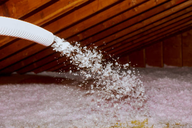 Best Local Insulation Services  in Bonneau Beach, SC