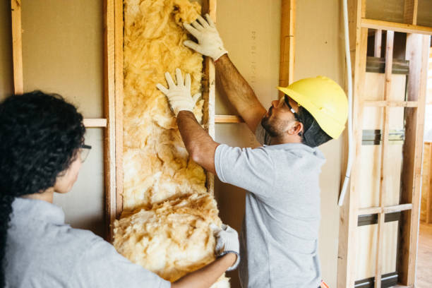 Best Attic Insulation Installation  in Bonneau Beach, SC
