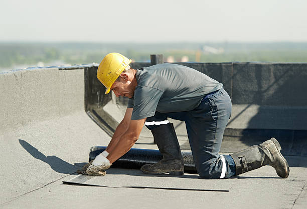 Best Insulation Removal  in Bonneau Beach, SC